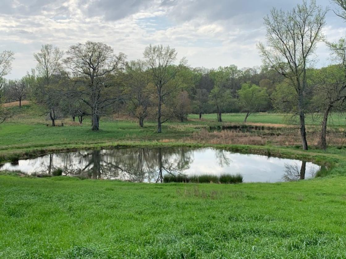 Madison County - Large Estate Farm - photo 6
