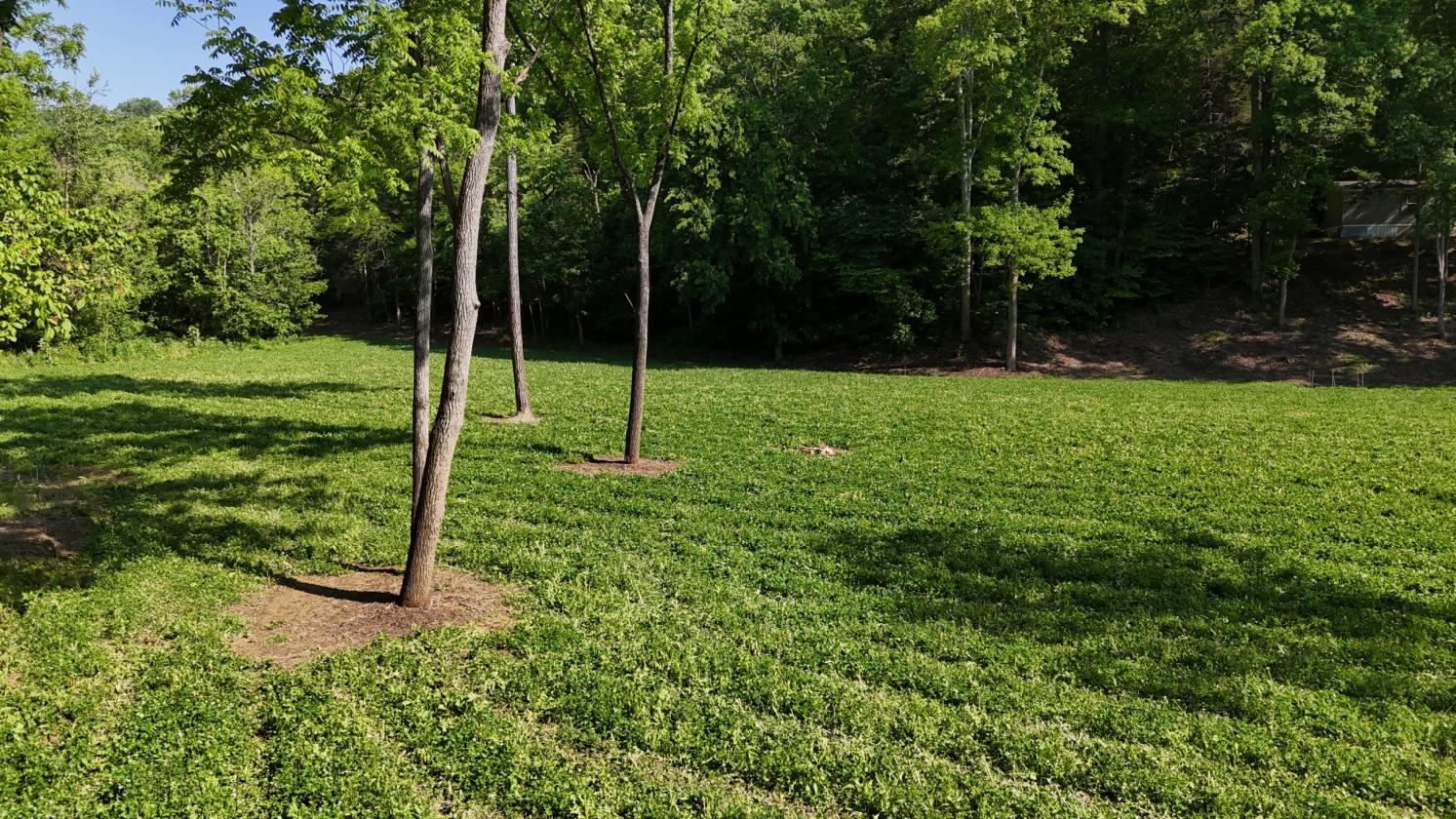 Wooded Estate With Multiple Clover Fields And Home - photo 6