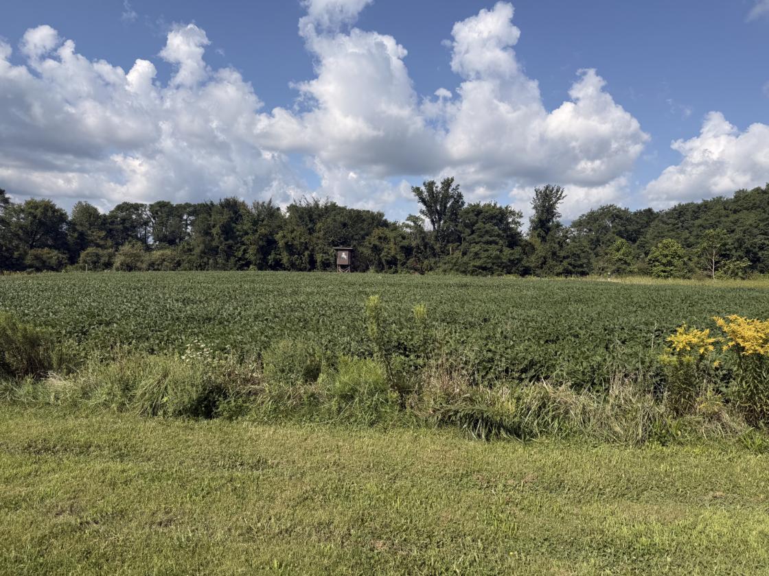 Secluded 18-Acre Hobby Farm & Horse Property - photo 8
