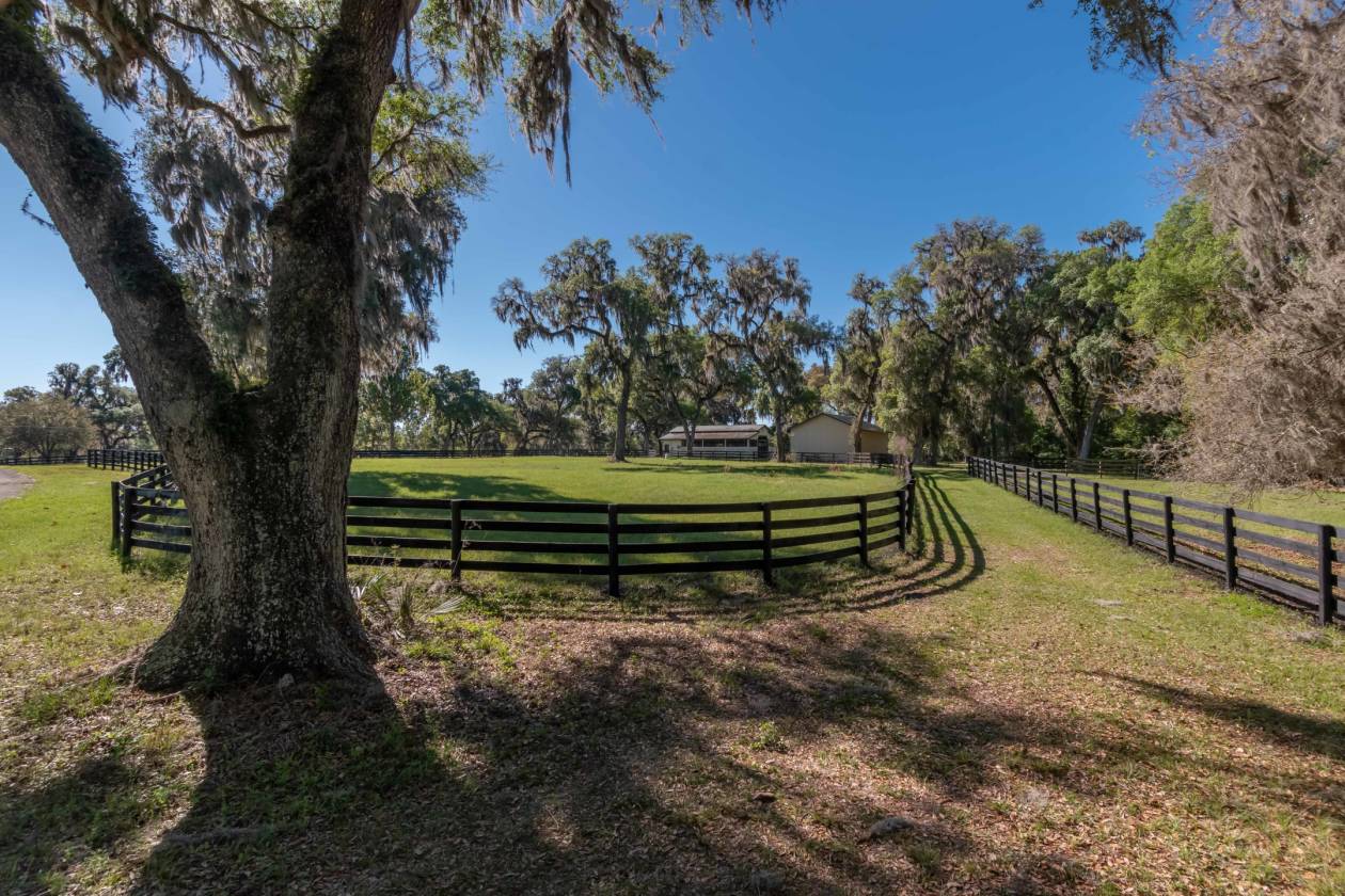 150 acres Luxury Equestrian Farm less than 30 min from WEC, Ocala, and ...