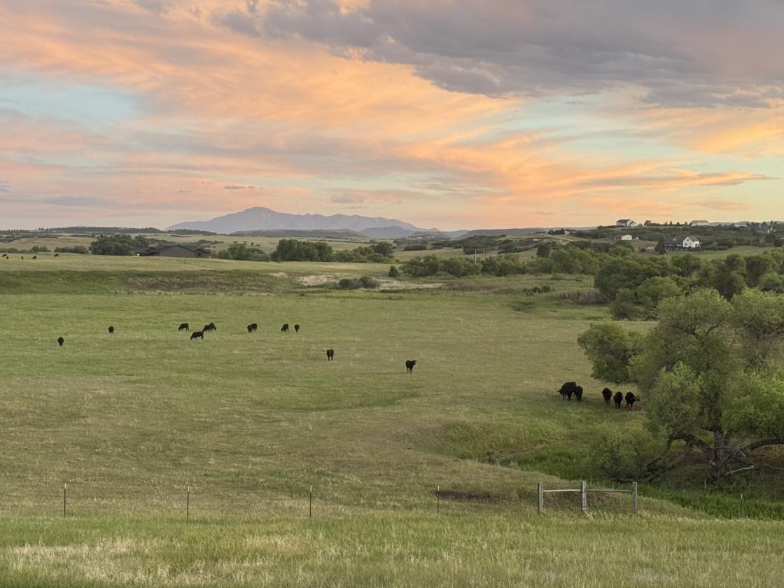 Castlewood Canyon Ranch - photo 19