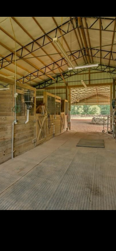 Beautiful Equestrian or Investment Farm 52 acres - photo 14