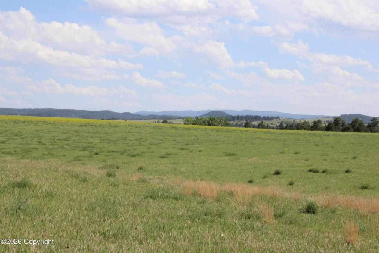 Tract 14 Belle River Ranch- NO Covenants -35+ Acre - photo 14