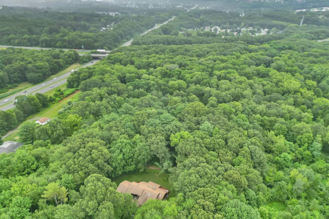 15 Acres with Horse Property Potential - photo 4