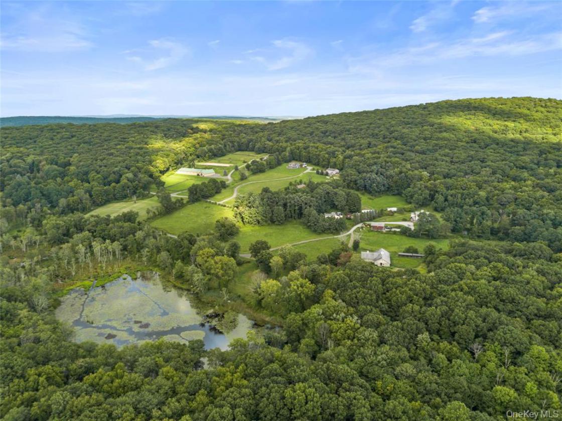 Spectacular 100+ Acre Equestrian Estate - photo 6