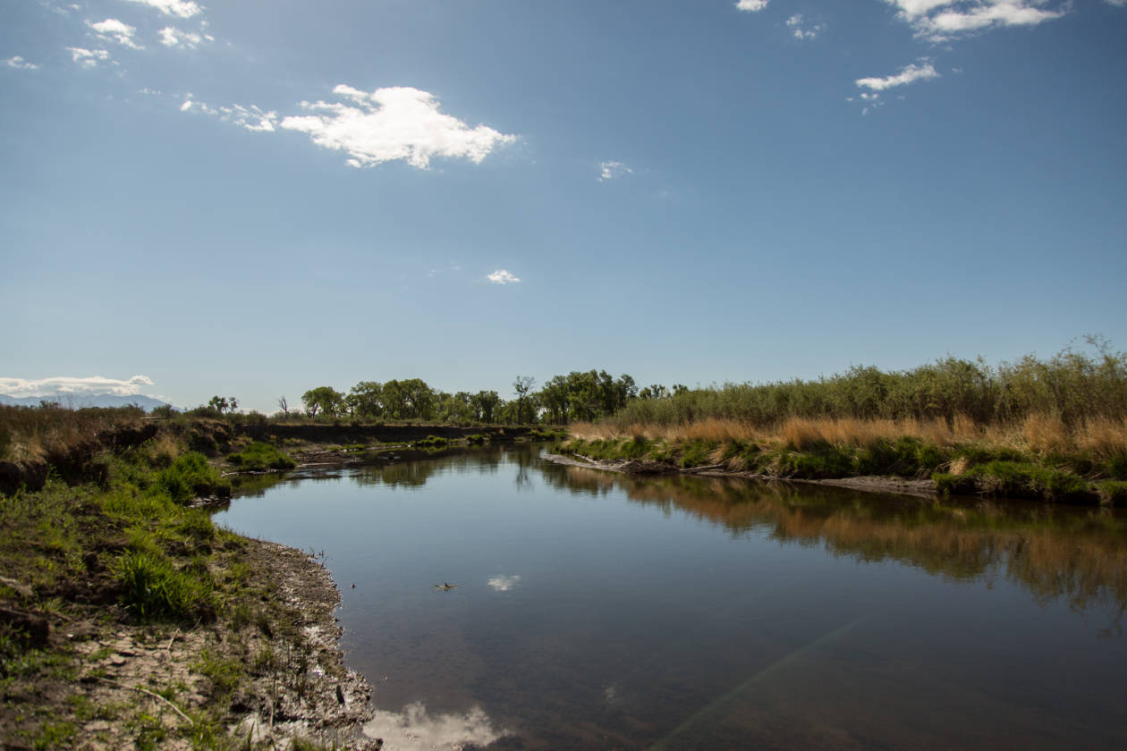 The Rio Grande River Ranch Alamosa, Alamosa County, Colorado