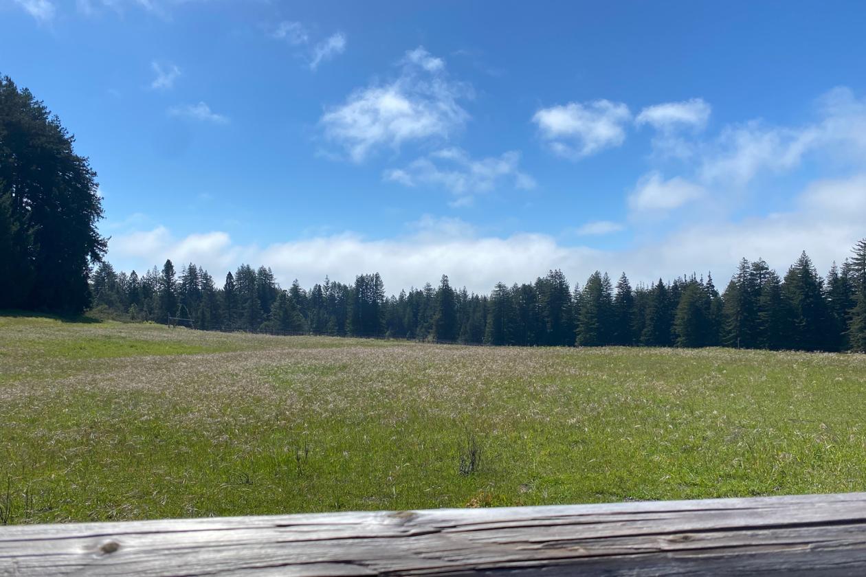 Santa Cruz Equestrian & Vineyard Property - photo 14
