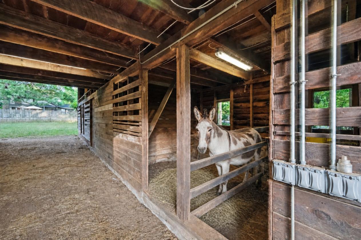 McElroy House | Historic 5 Acre Horse/Hobby Farm - photo 30