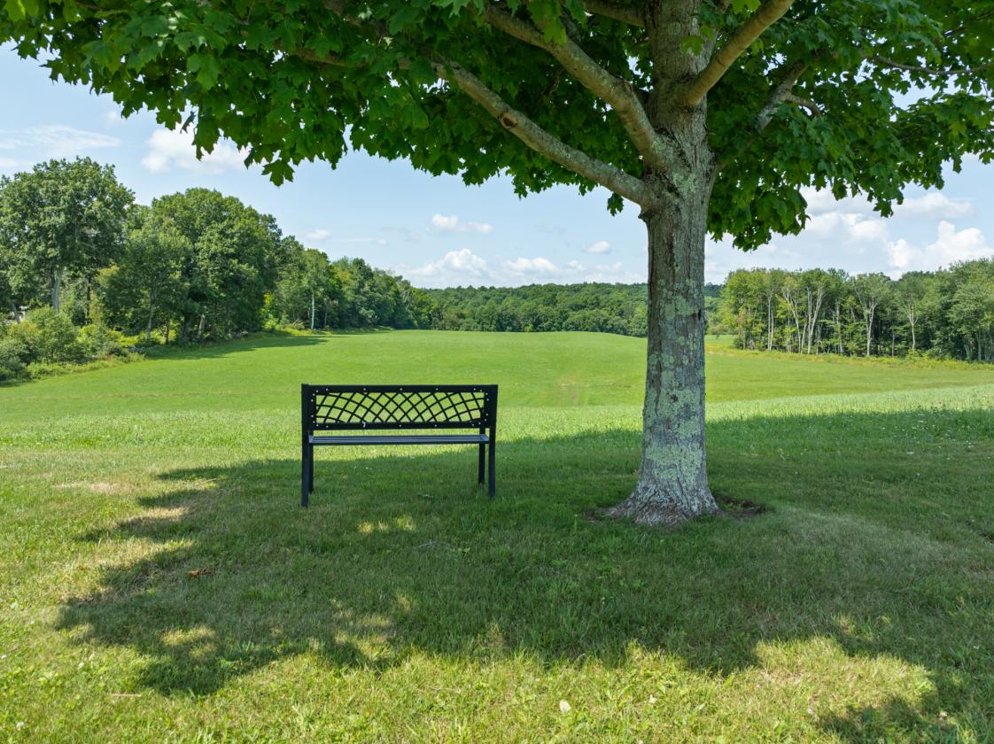90-Acre Legacy Farm - Horse Trails, Barns & Pond! - photo 3