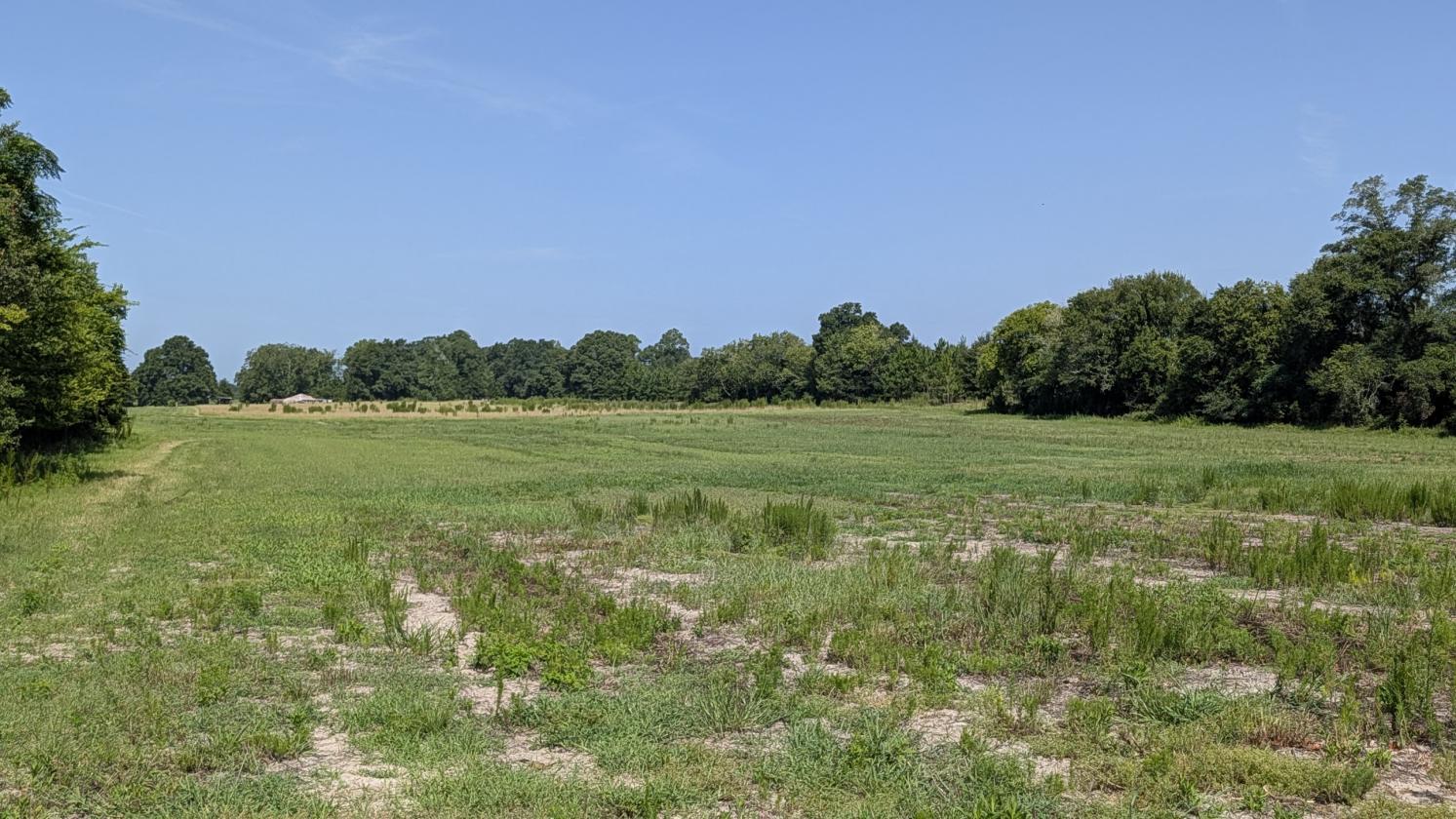 Prime 76 acre farm in Jackson County - photo 3