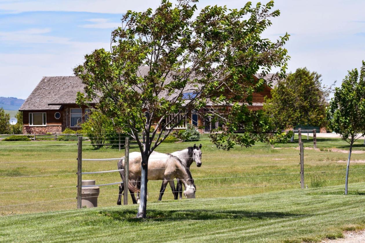 Knox Farm Equine Center - photo 5