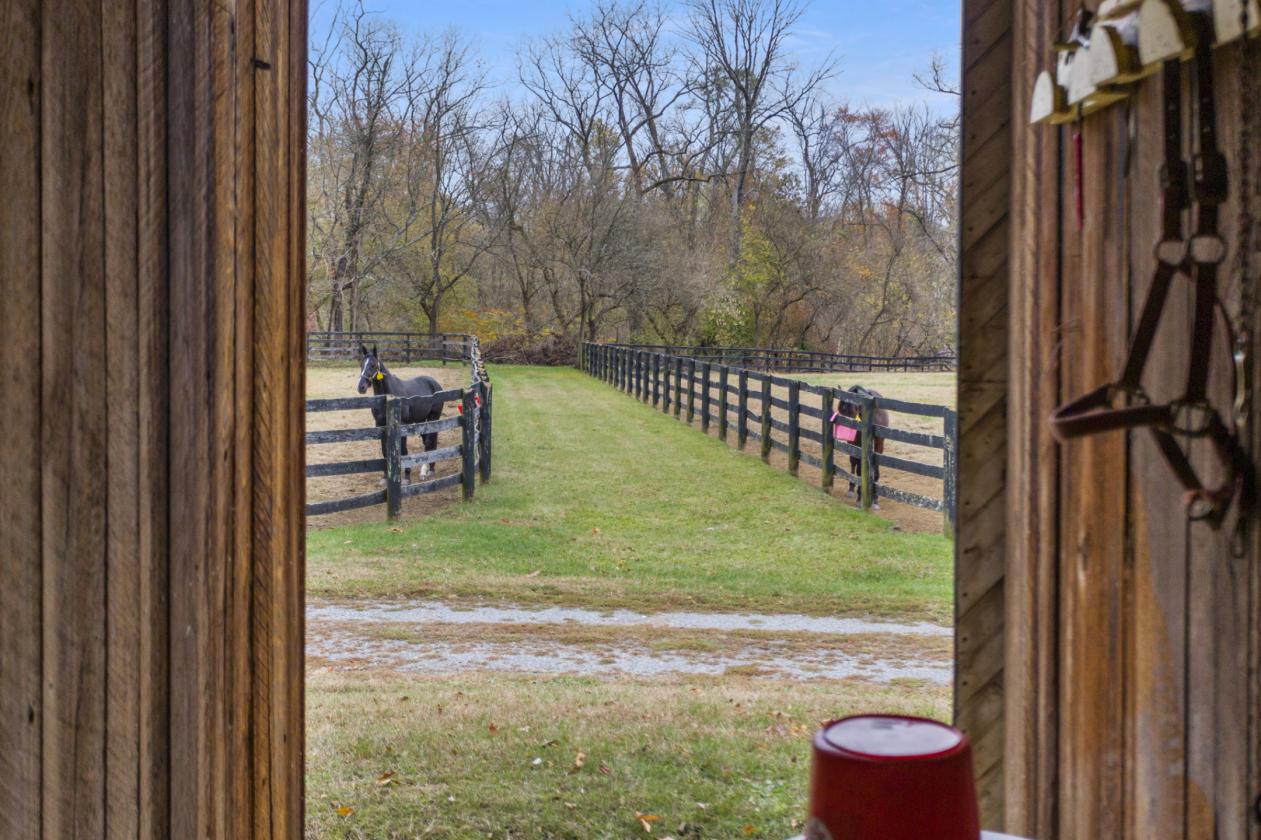 17+ PICTURESQUE ACRES WITH 2 BARNS & HOUSE - photo 7