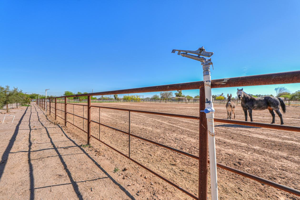Move in ready horse property - photo 13