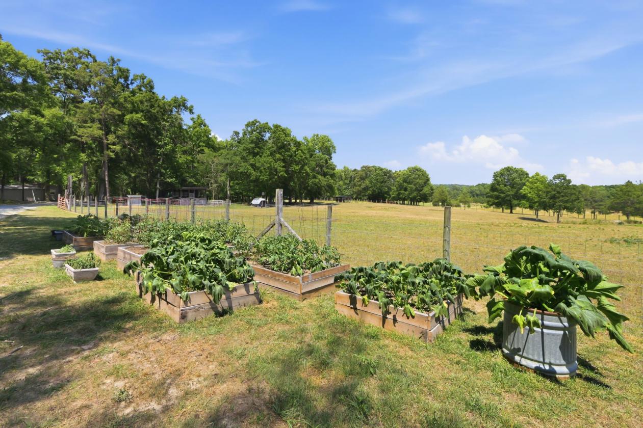 Hobby farm - photo 29