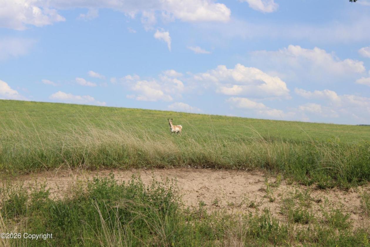 WY Horse Property with Views and NO Covenants! - photo 6