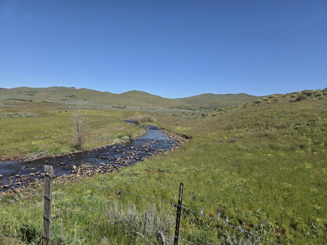 Exceptional 230± Acre Ranch - photo 29