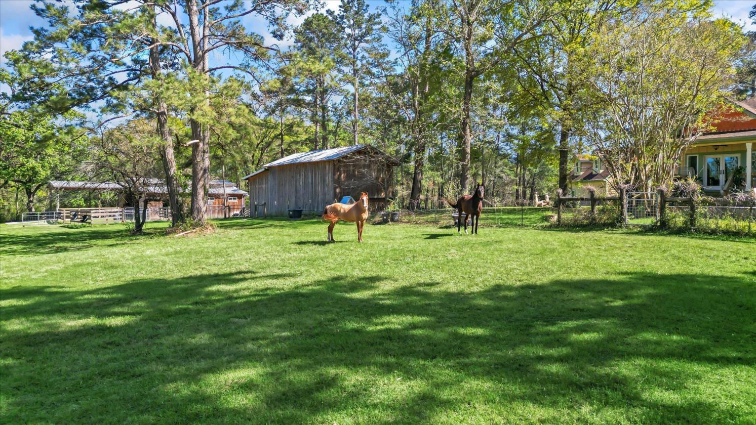 34 Acre Horse Estate with newly renovated home - photo 26
