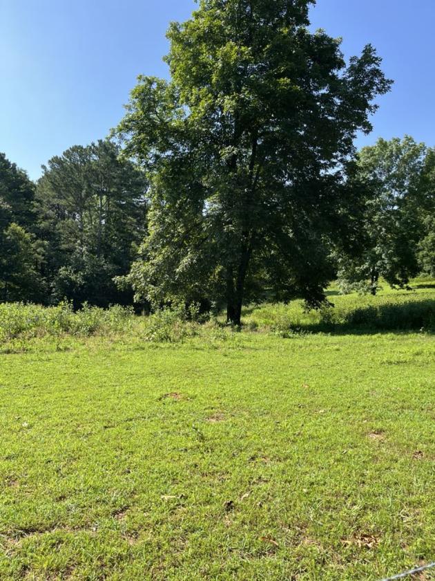 6 ACRES, BRICK RANCH, BARN - photo 12