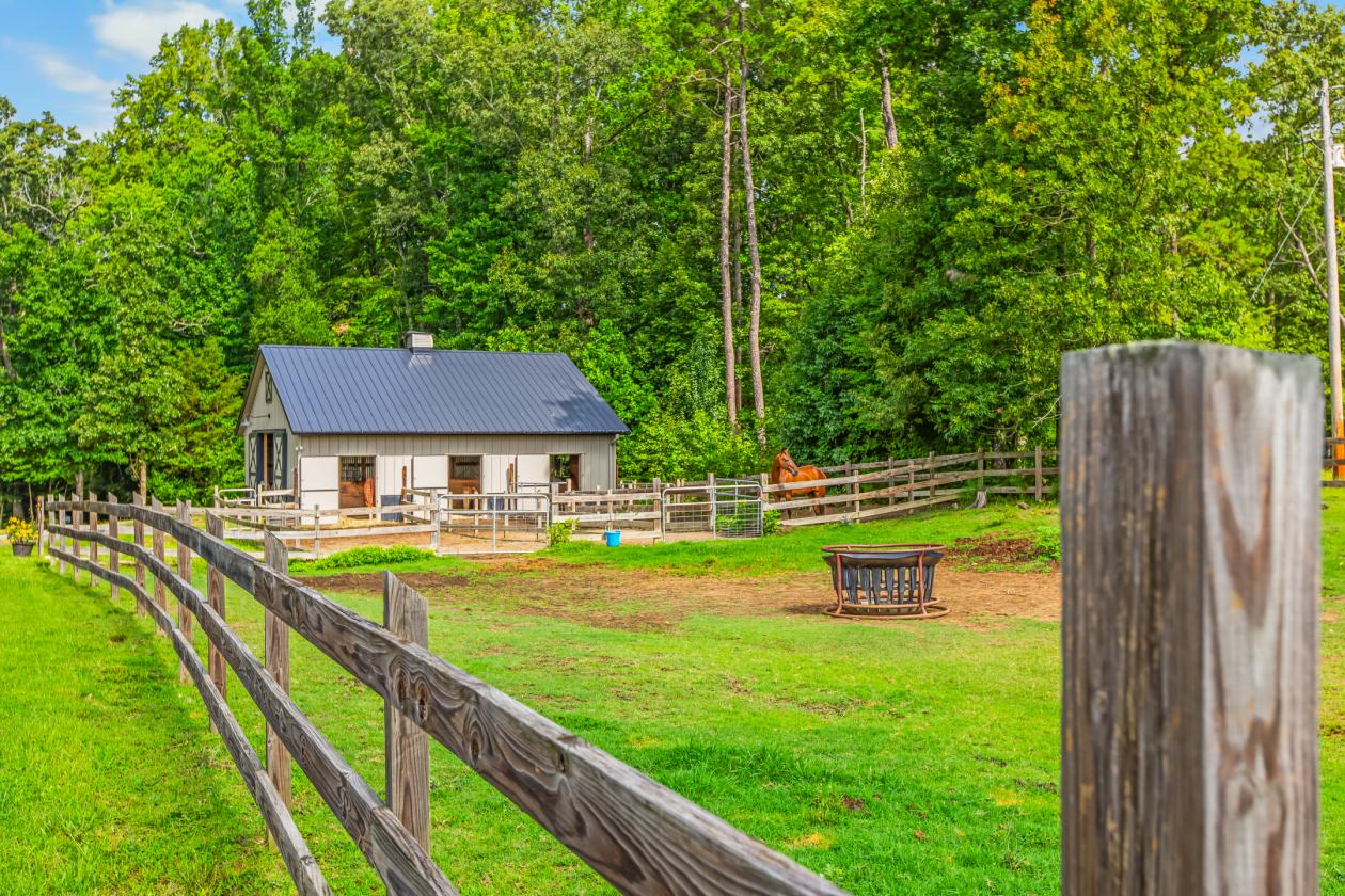 Beautiful mini-farm on 8.46+/- private acres - photo 8