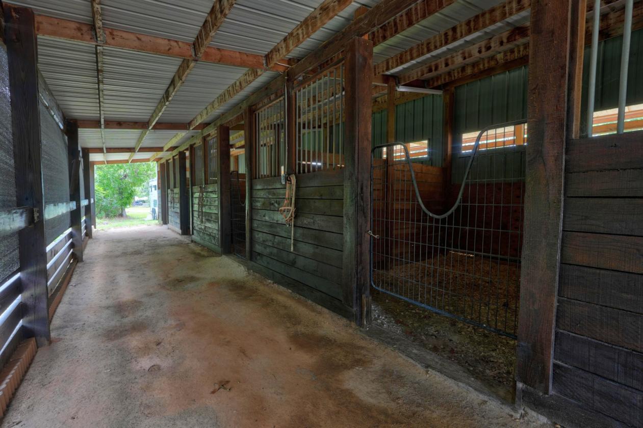 Camden Horse Farm - Miles of Trails - photo 6