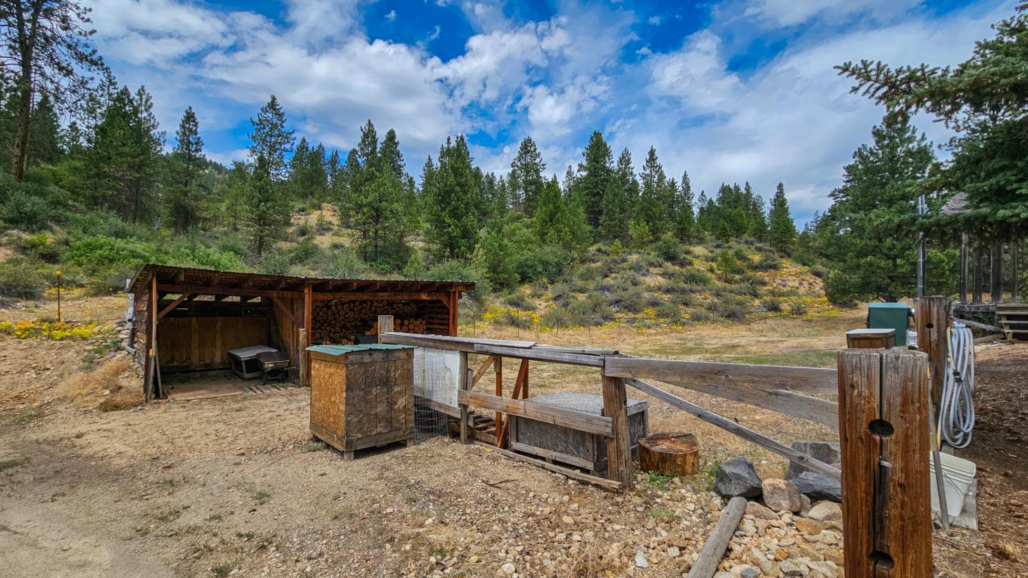 Mountain horse property backing to Boise Forest - photo 20