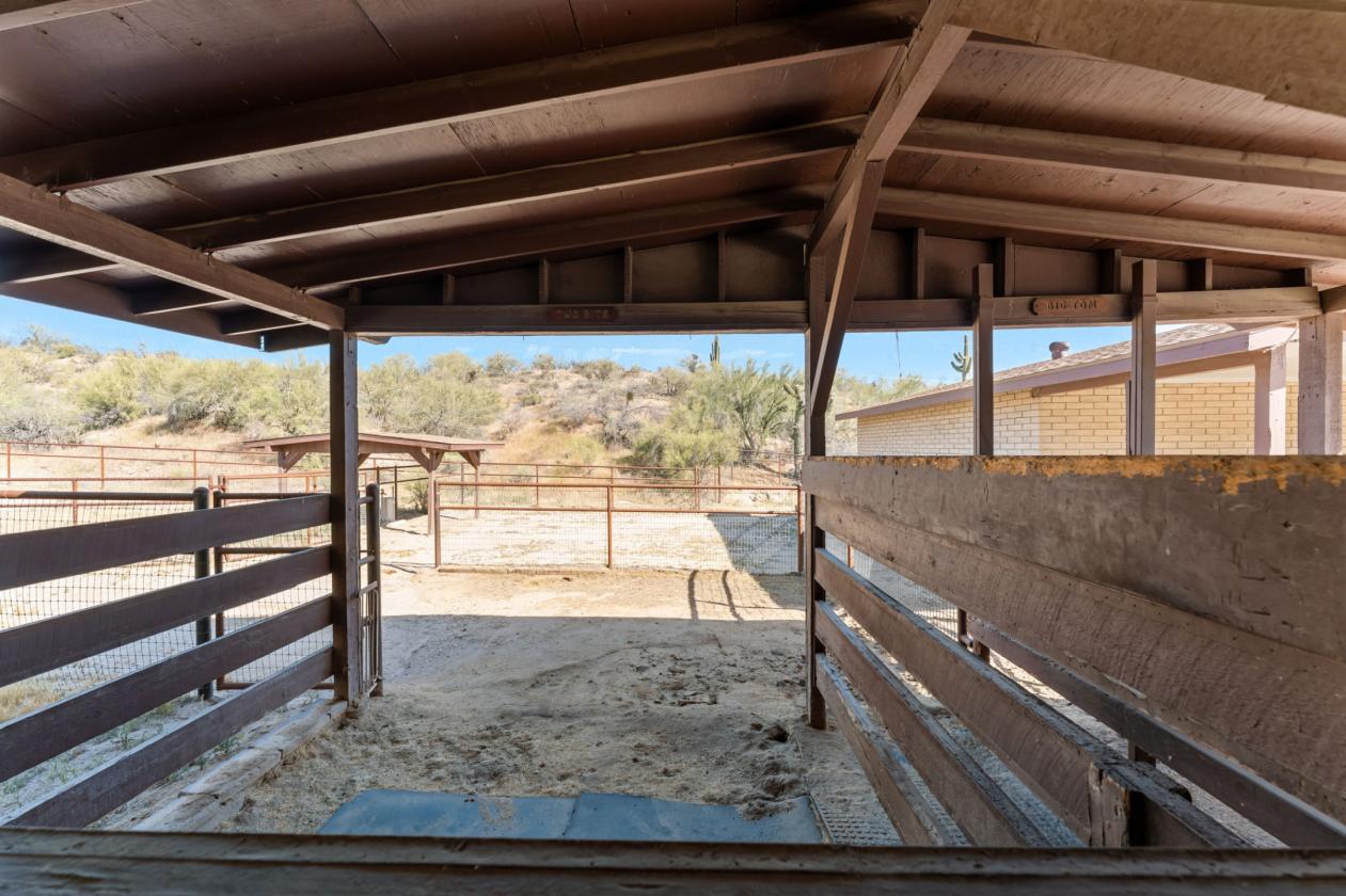44+ Acres of Horse Country - photo 23