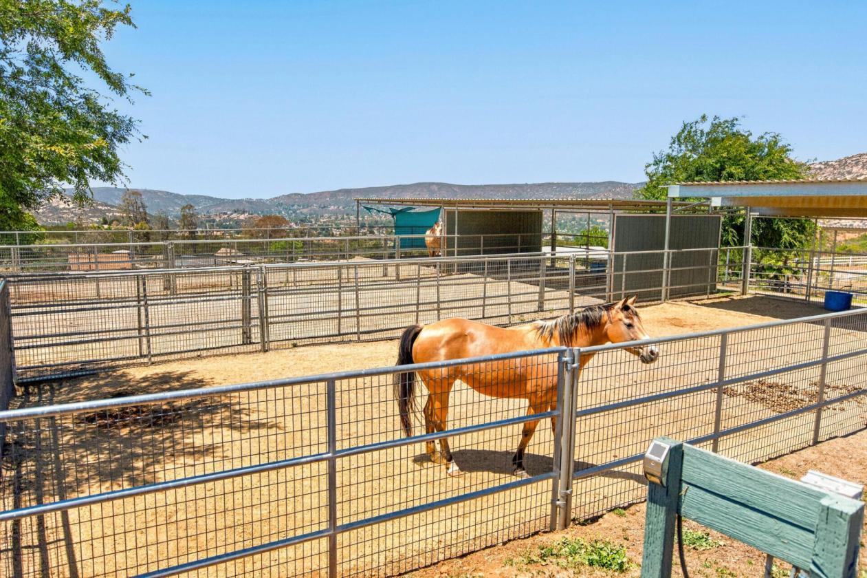 Move-In Ready Boutique Horse Property - photo 17
