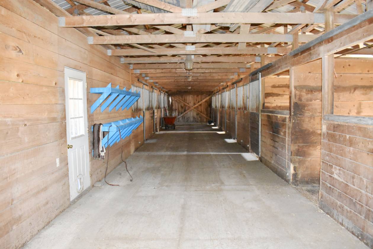Horse boarding/training operation with indoor arena near Ithaca, NY