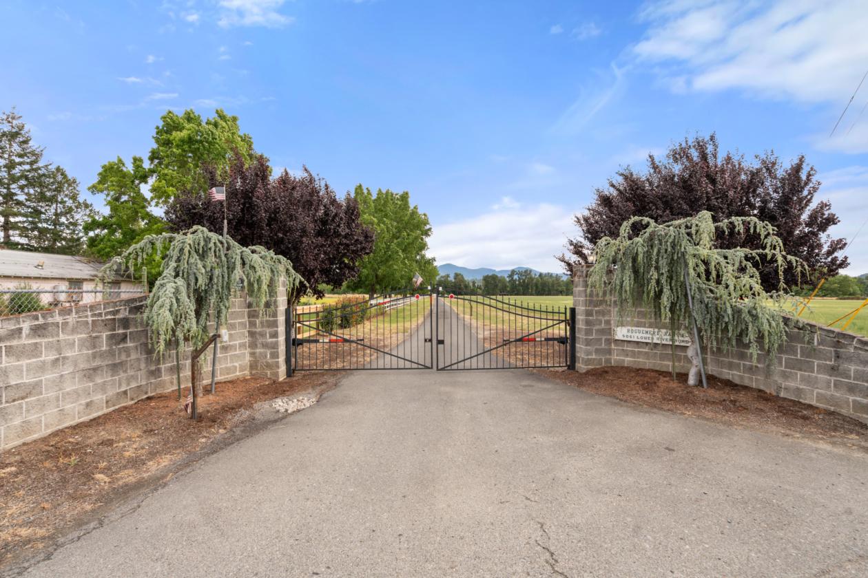 Roguemere Ranch River Equine Elegance - photo 2