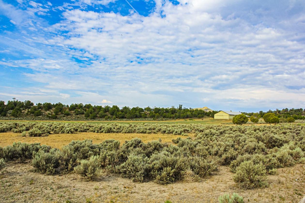 Picturesque 80-acre ranch! - photo 10