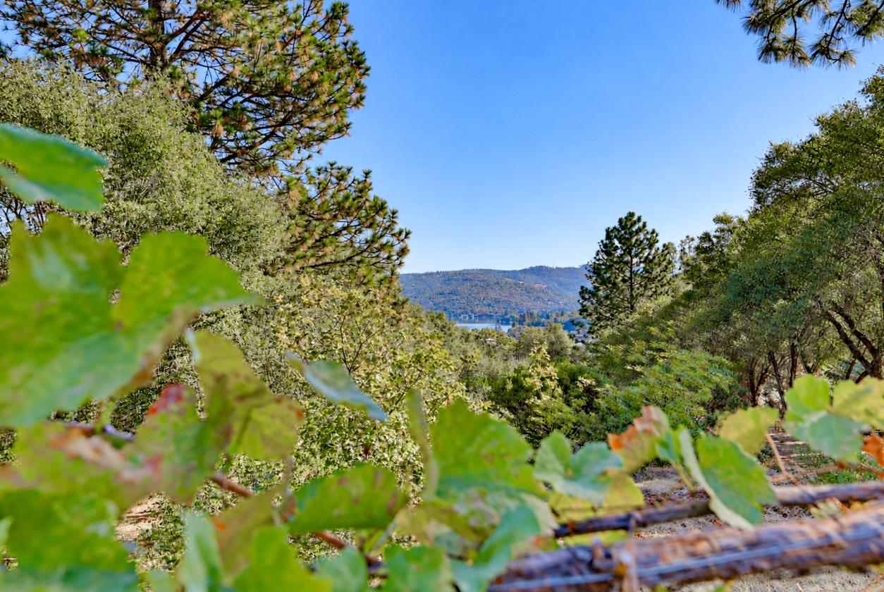 Equestrian Ready in Grass Valley / Penn Valley - photo 21