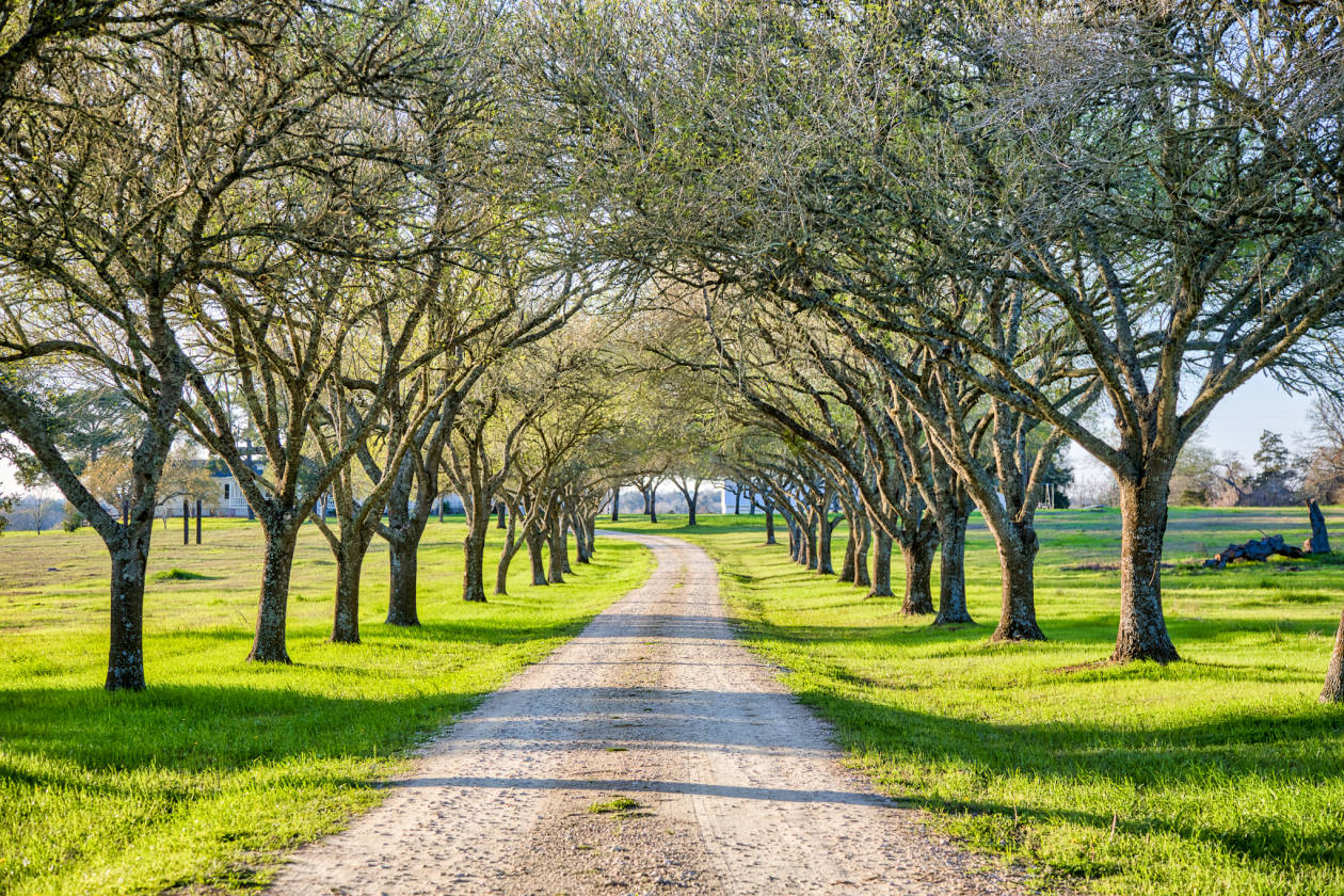 Blue Skies Ranch Exclusive Luxury Farmhouse Burton, Washington