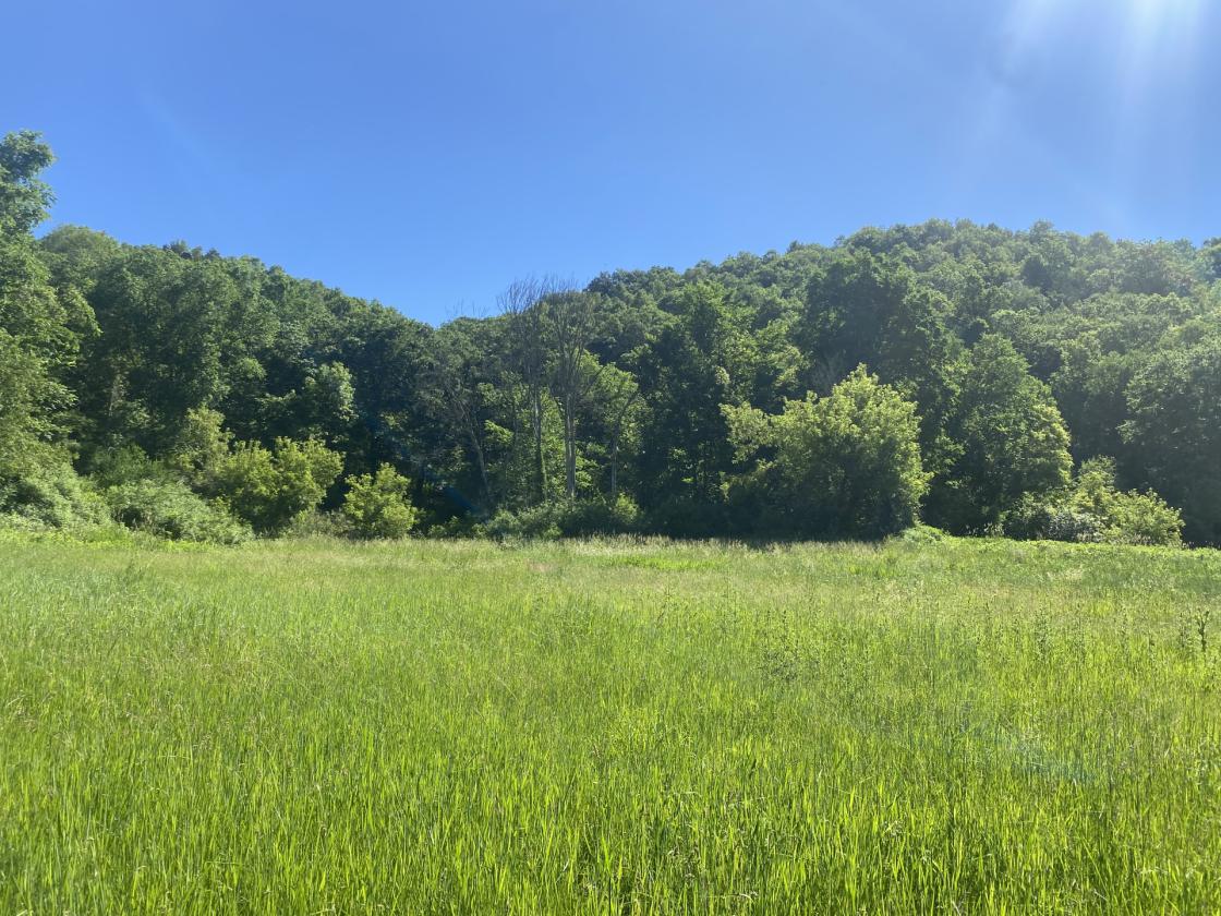 Deep River Farm - photo 29