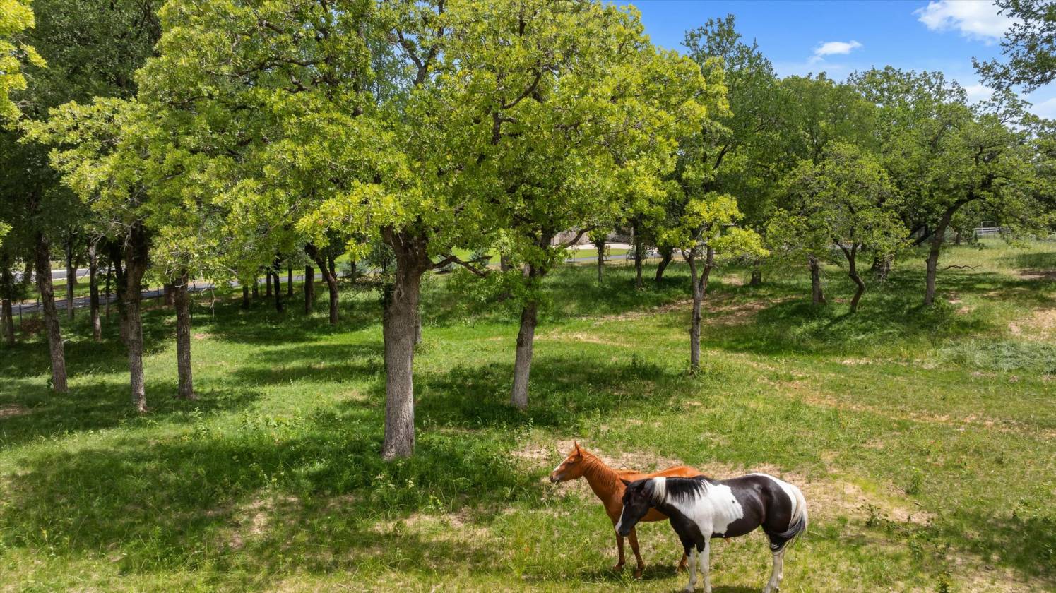 49 Acre Horse Property and Custom Home - photo 27