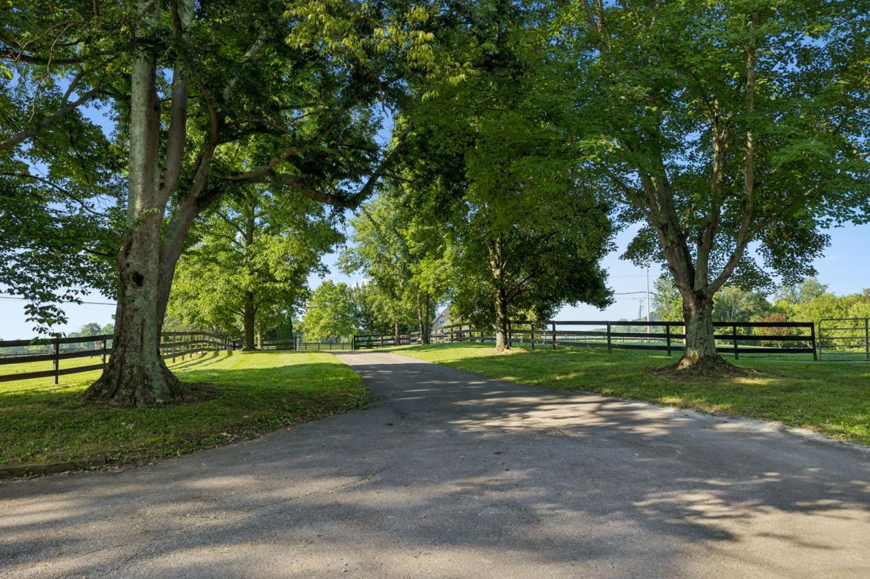 Equestrian Sanctuary with Arena on 5 acres - photo 4