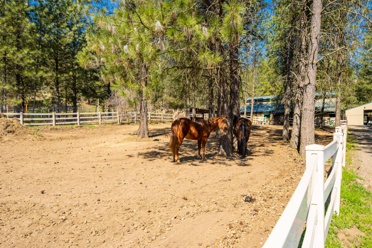 Beautiful Private on 66acres at overlooking Lake