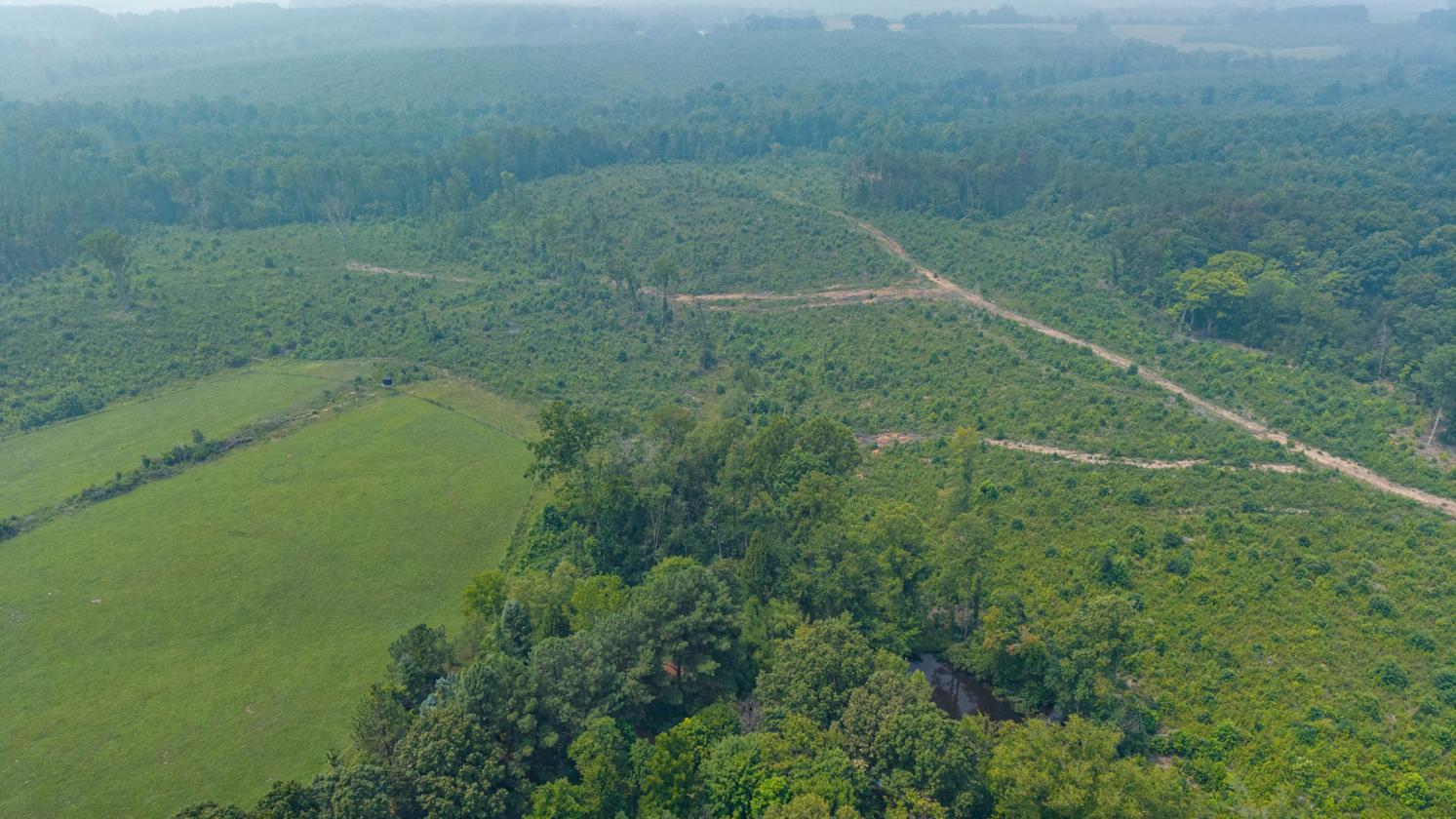 Ironwood Farm offering over 75 acres - photo 25