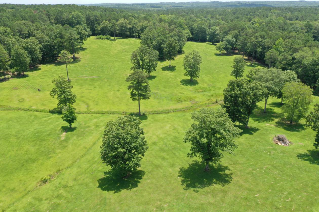 Horse property with several homes - photo 27