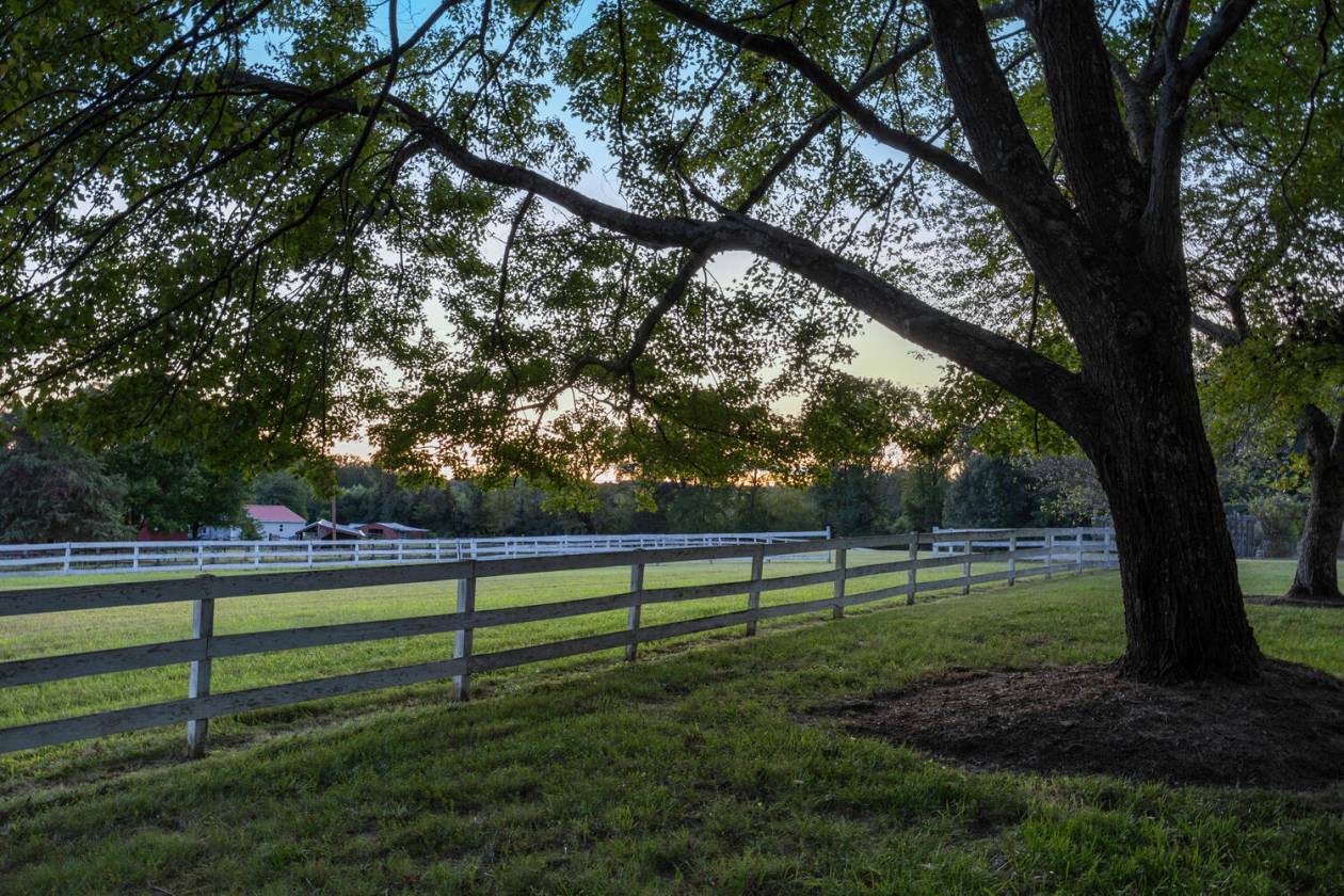 9.8 Acres: Multiple Fenced Pastures  - photo 4