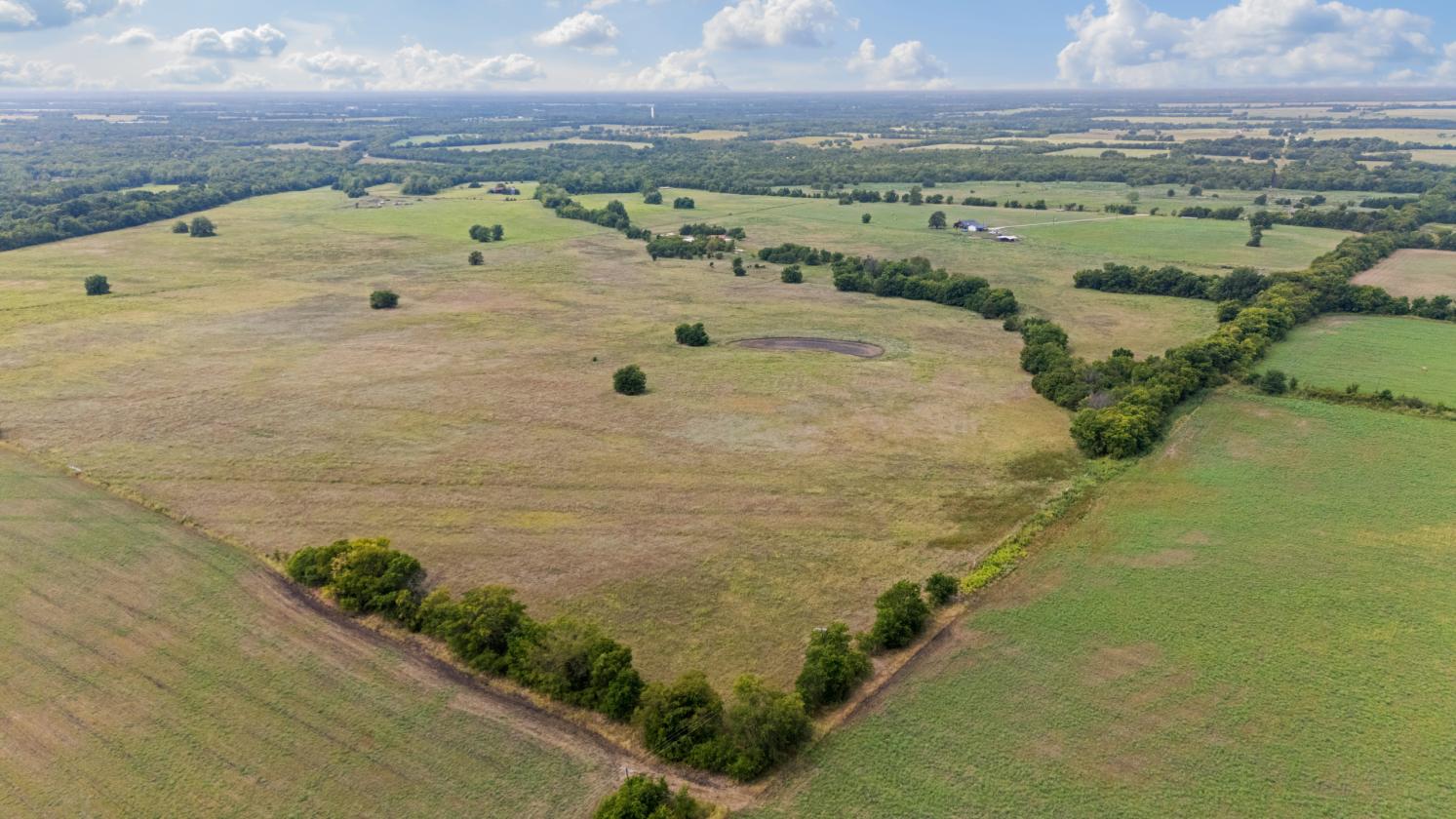 100 Secluded acres in Lamar County! - photo 4