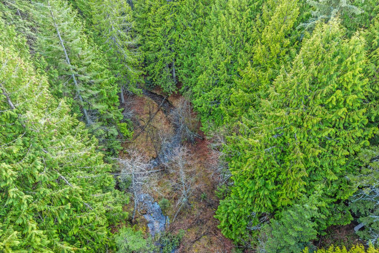 Level 20.65 acres w/Creek, Pasture & Woods - photo 21