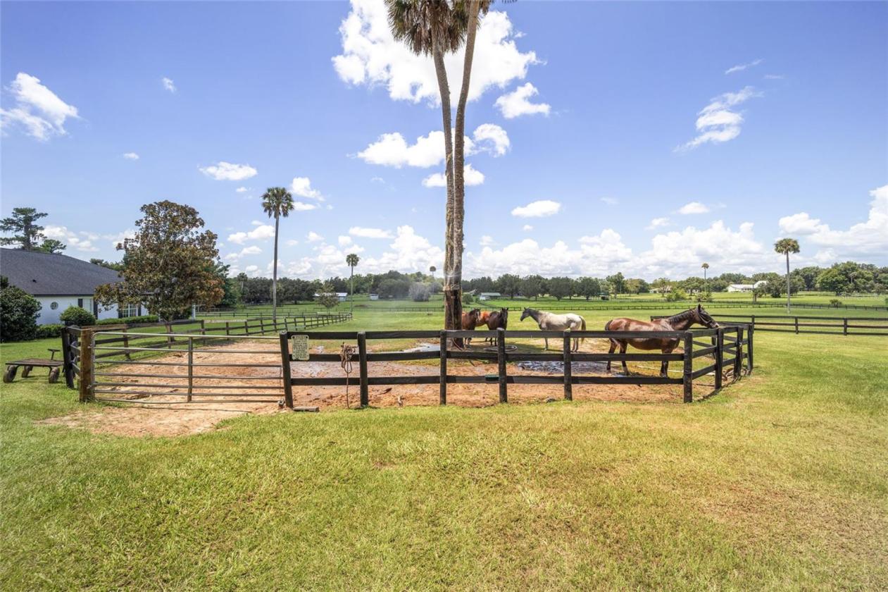 Dual-Residence Estate on 8+ Acres - photo 7