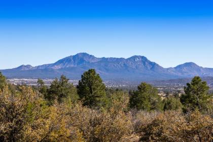 Property image.