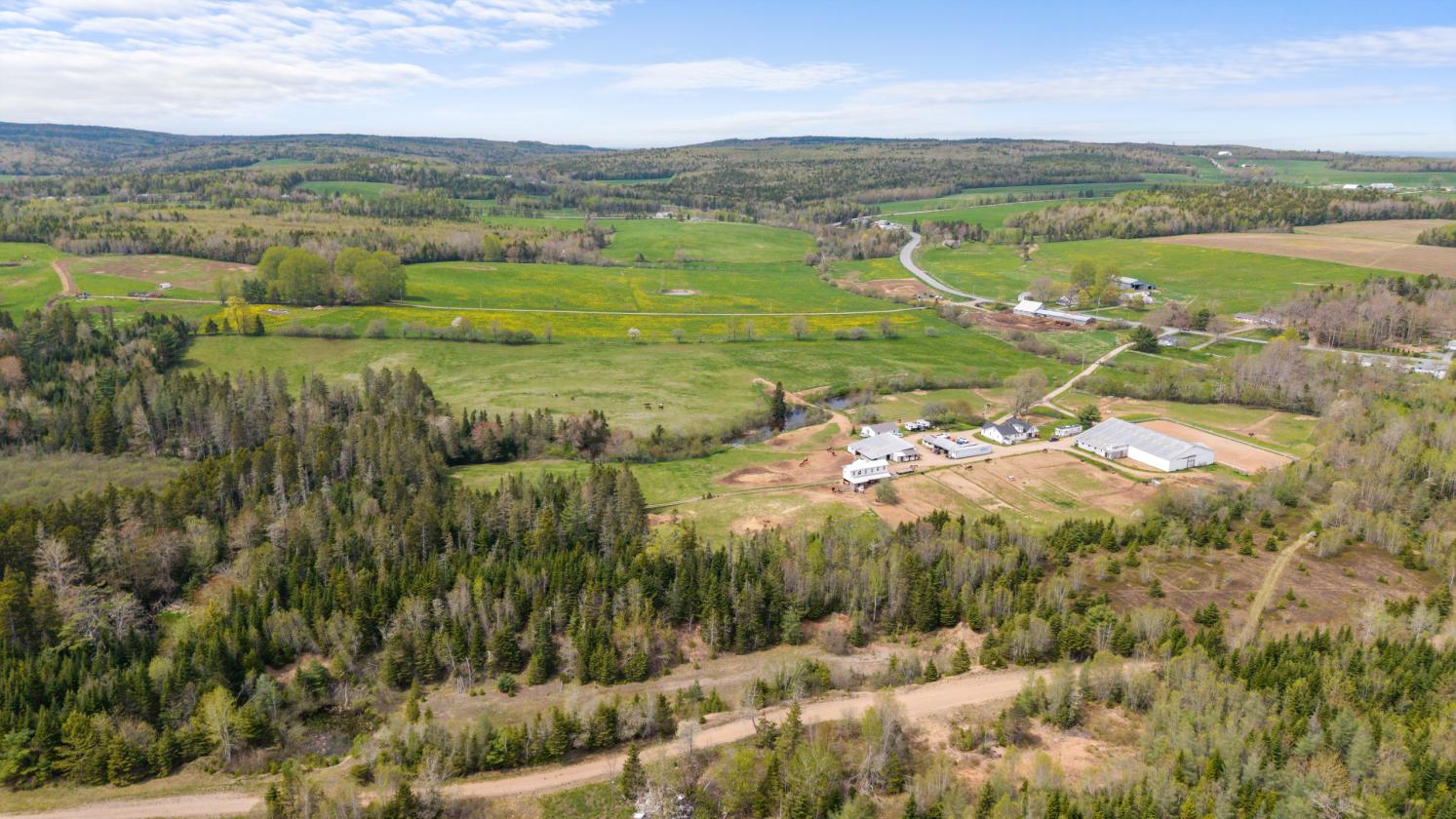 41 Acre Equestrian Facility with 2 homes For Sale - photo 11