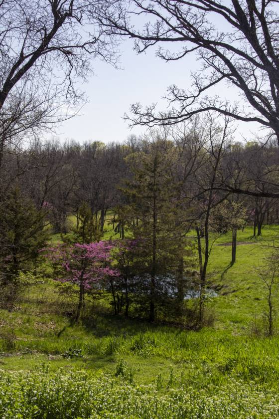 Horse Property for sale.