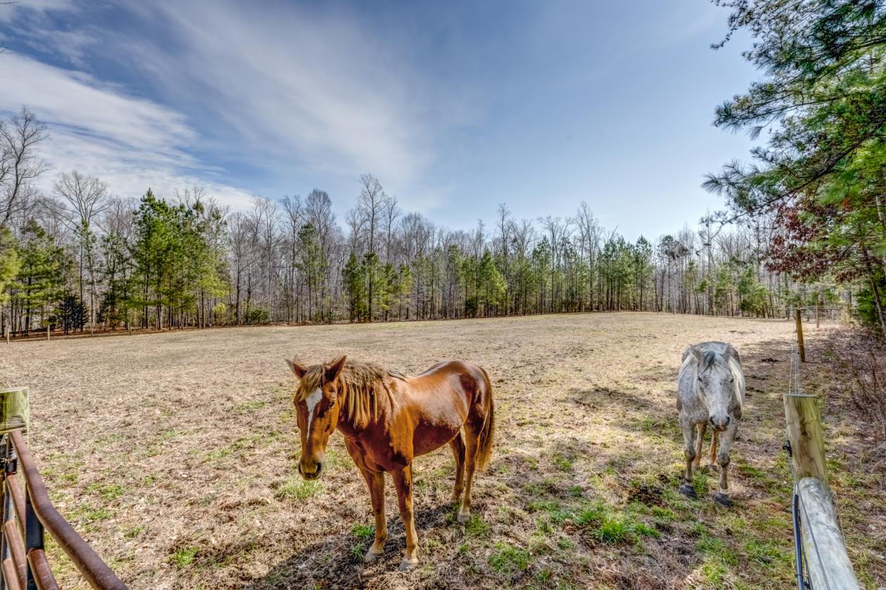 Walnut Grove Horse Farm - 117.7 Acres +/- - photo 29