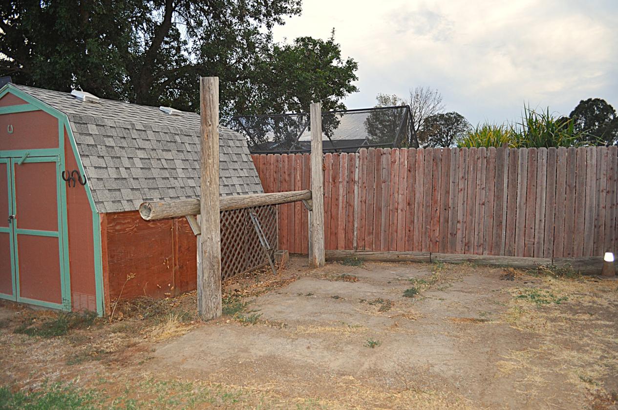 In-Town Horse Property with Charming Ranch Home - photo 9