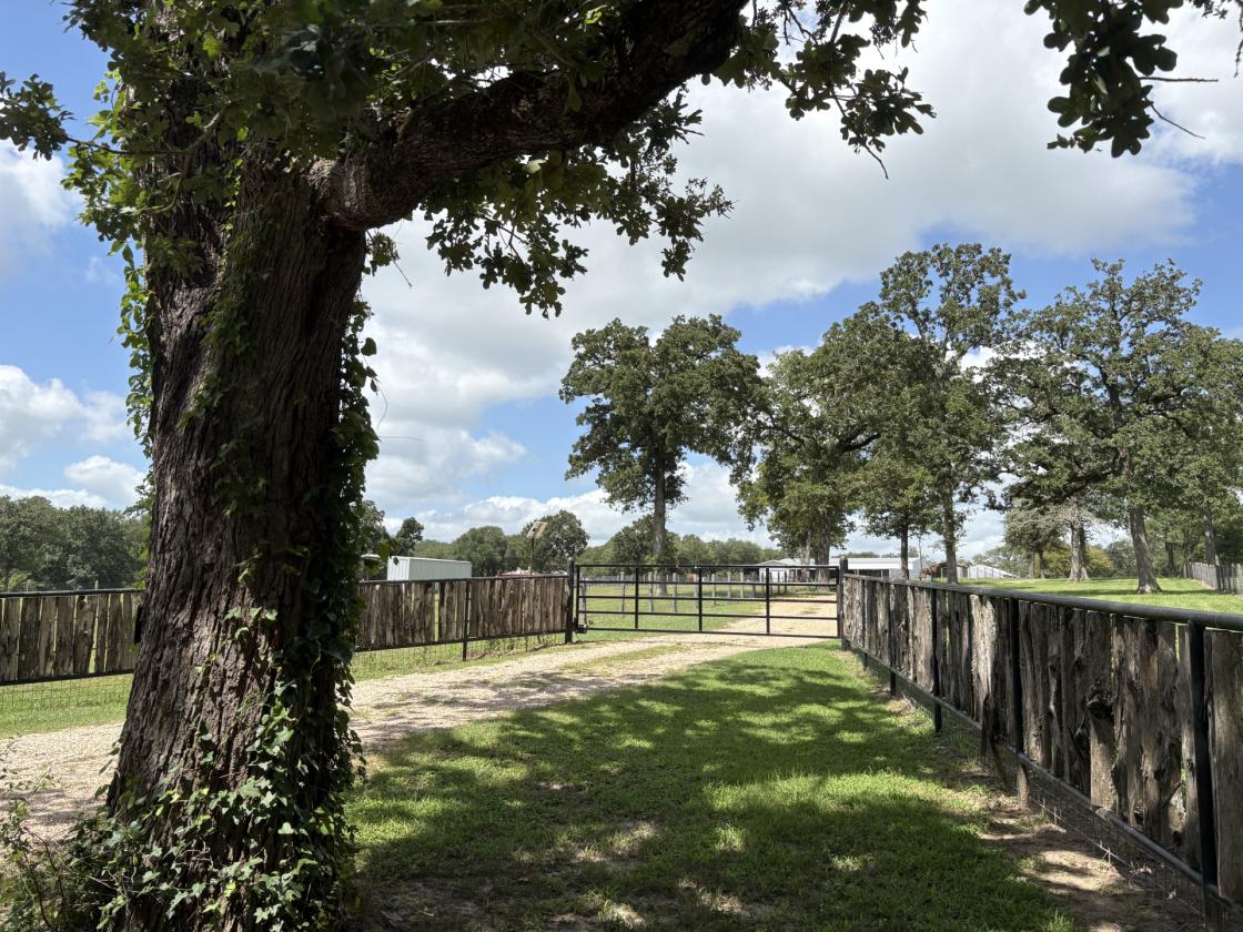 Lone Star Acres - photo 30