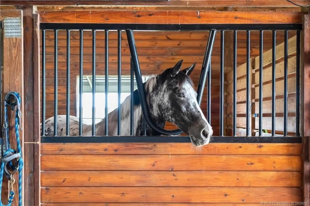 Income-Producing Equestrian Estate w/15-Stall Barn - photo 12