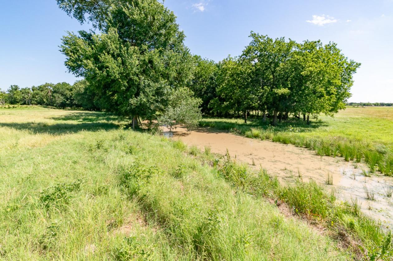 117.5 Acre Horse & Cattle & Rec. Property - photo 21